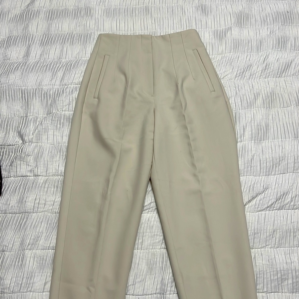 Viral Zara dress pants